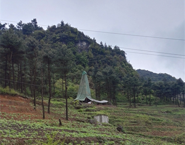 把脈“黔”鋅地，問診開良方