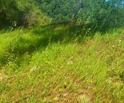 柳關欒盧鉛鋅礦|治理排土“瘡疤”，繪就綠色畫卷